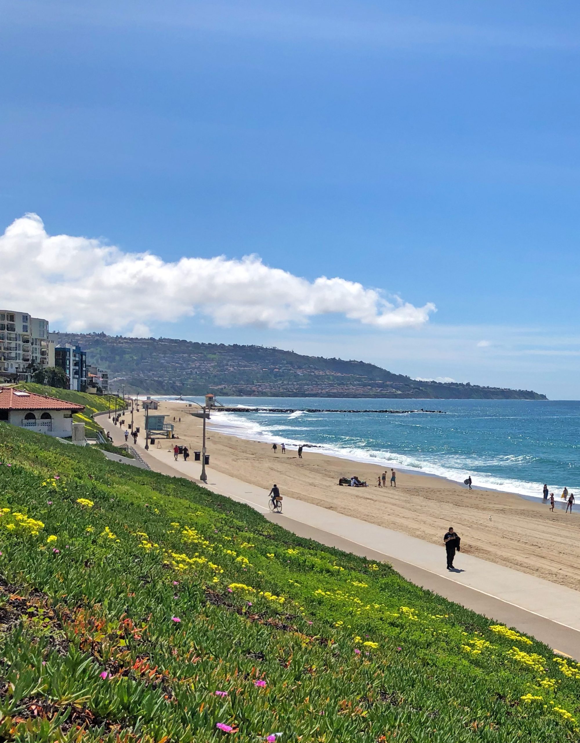 AdobeStock_339220228