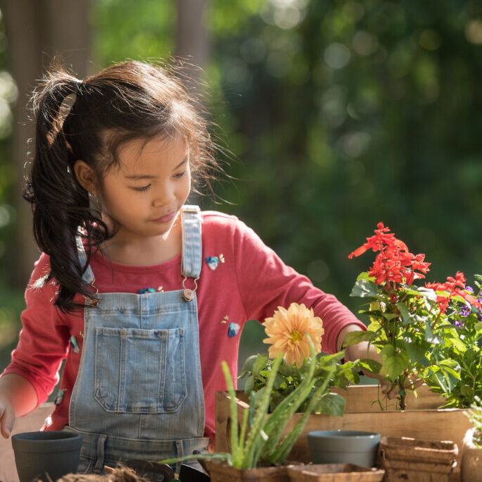 adorable asian little girl is planting spring flowers tree in pots in garden outside house, child education of nature. caring for new life. earth day holiday concept. world environment day. ecology.