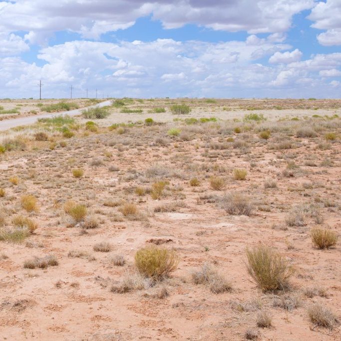 AdobeStock_407575491 - Copy